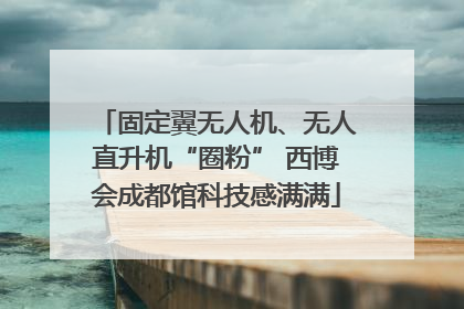 固定翼无人机、无人直升机“圈粉” 西博会成都馆科技感满满