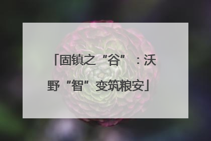 固镇之“谷”：沃野“智”变筑粮安