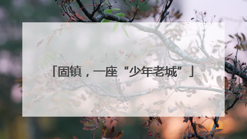 固镇，一座“少年老城”