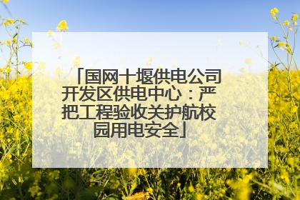 国网十堰供电公司开发区供电中心：严把工程验收关护航校园用电安全