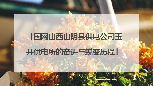 国网山西山阴县供电公司玉井供电所的奋进与蜕变历程