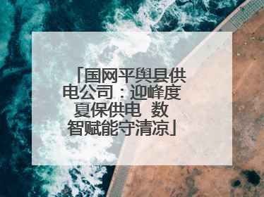 国网平舆县供电公司：迎峰度夏保供电  数智赋能守清凉