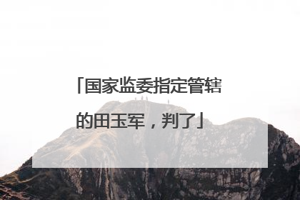 国家监委指定管辖的田玉军，判了