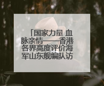 国家力量 血脉亲情——香港各界高度评价海军山东舰编队访问香港