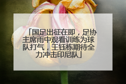 国足出征在即，足协主席雨中观看训练为球队打气，王钰栋期待全力冲击印尼队