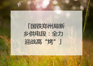 国铁郑州局新乡供电段：全力迎战高“烤”