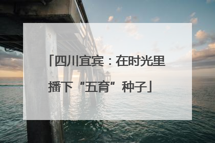 四川宜宾：在时光里播下“五育”种子