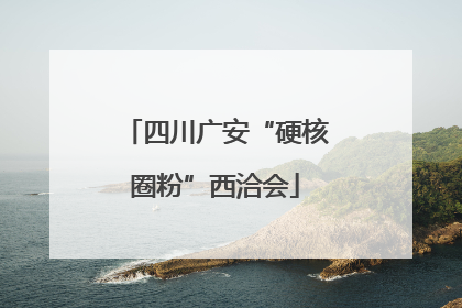 四川广安“硬核圈粉”西洽会