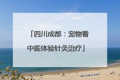四川成都：宠物看中医体验针灸治疗
