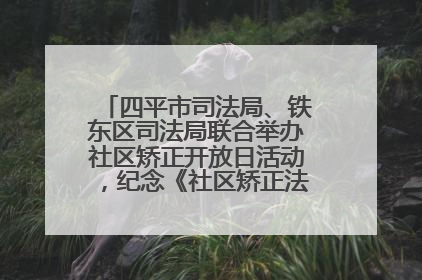 四平市司法局、铁东区司法局联合举办社区矫正开放日活动，纪念《社区矫正法》实施五周年