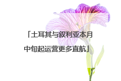 土耳其与叙利亚本月中旬起运营更多直航