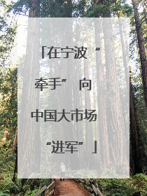 在宁波“牵手” 向中国大市场“进军”