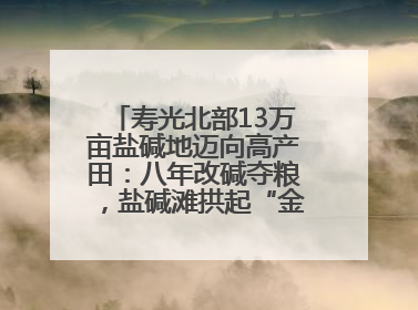 寿光北部13万亩盐碱地迈向高产田：八年改碱夺粮，盐碱滩拱起“金粮仓”