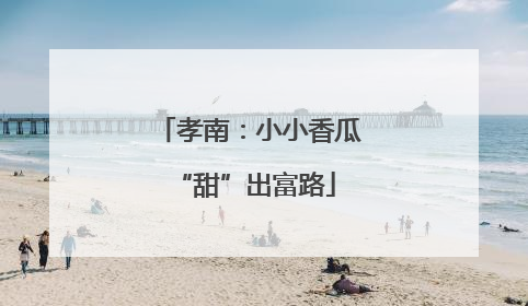 孝南：小小香瓜 “甜”出富路