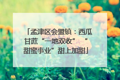 孟津区会盟镇：西瓜甘蔗“一地双收” “甜蜜事业”甜上加甜