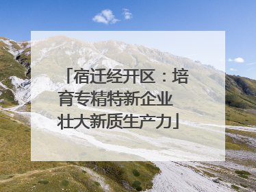 宿迁经开区：培育专精特新企业 壮大新质生产力