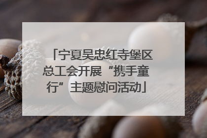 宁夏吴忠红寺堡区总工会开展“携手童行”主题慰问活动