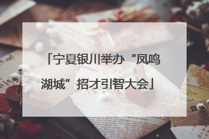 宁夏银川举办“凤鸣湖城”招才引智大会