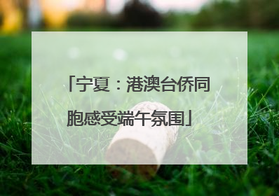 宁夏：港澳台侨同胞感受端午氛围