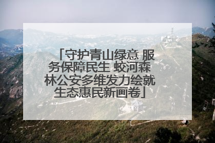 守护青山绿意 服务保障民生 蛟河森林公安多维发力绘就生态惠民新画卷