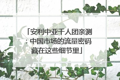 安利中亚千人团亲测：中国市场的流量密码 藏在这些细节里