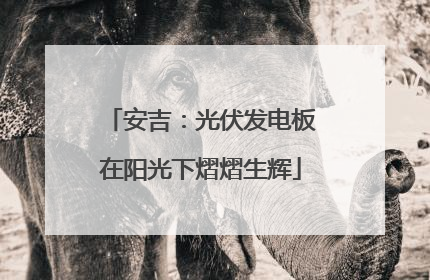 安吉：光伏发电板在阳光下熠熠生辉