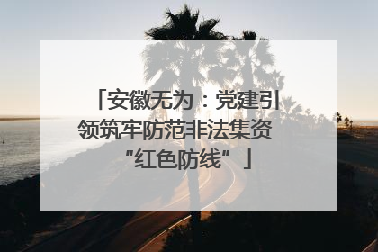 安徽无为：党建引领筑牢防范非法集资“红色防线”