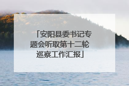 安阳县委书记专题会听取第十二轮巡察工作汇报