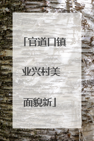 官道口镇 业兴村美面貌新