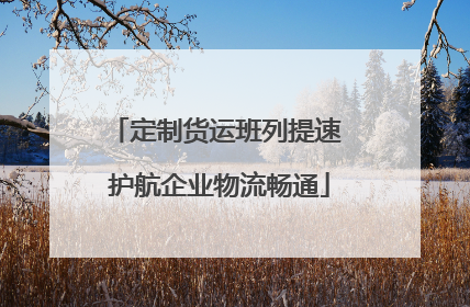 定制货运班列提速 护航企业物流畅通