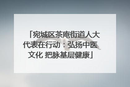 宛城区茶庵街道人大代表在行动:弘扬中医文化 把脉基层健康