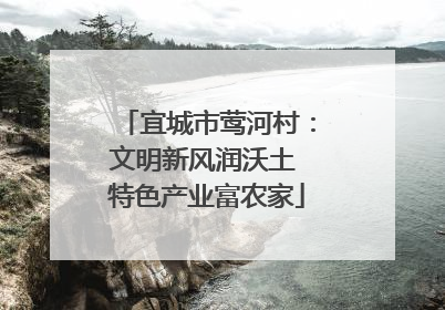 宜城市莺河村：文明新风润沃土 特色产业富农家