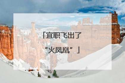 宜职飞出了“火凤凰”