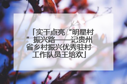 实干点亮“明星村”振兴路——记贵州省乡村振兴优秀驻村工作队员王培欢