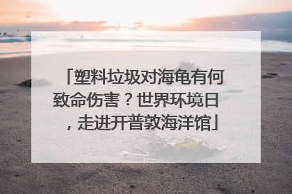 塑料垃圾对海龟有何致命伤害？世界环境日，走进开普敦海洋馆