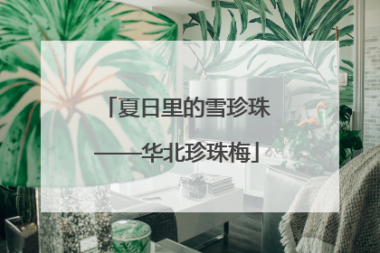 夏日里的雪珍珠——华北珍珠梅
