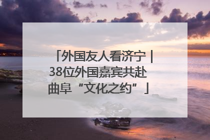 外国友人看济宁｜38位外国嘉宾共赴曲阜“文化之约”