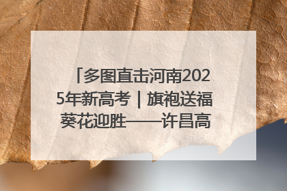 多图直击河南2025年新高考｜旗袍送福 葵花迎胜——许昌高考首日拉开帷幕