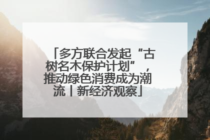 多方联合发起“古树名木保护计划”，推动绿色消费成为潮流丨新经济观察