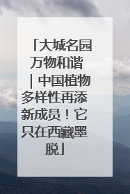 大城名园 万物和谐｜中国植物多样性再添新成员！它只在西藏墨脱