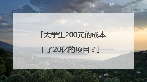 大学生200元的成本干了20亿的项目？
