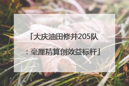 大庆油田修井205队：毫厘精算创效益标杆
