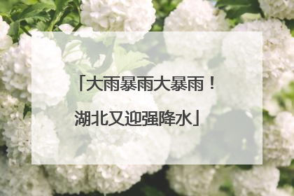大雨暴雨大暴雨！湖北又迎强降水
