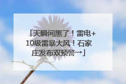 天瞬间黑了！雷电+10级雷暴大风！石家庄发布双预警→