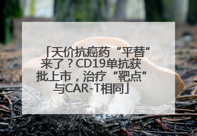 天价抗癌药“平替”来了？CD19单抗获批上市，治疗“靶点”与CAR-T相同