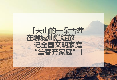 天山的一朵雪莲在聊城灿烂绽放——记全国文明家庭“詹春芳家庭”