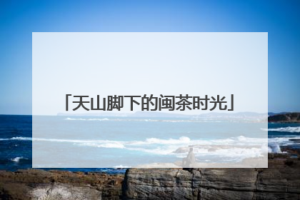 天山脚下的闽茶时光