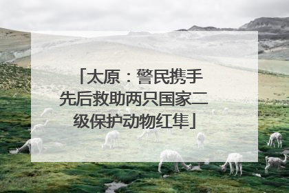 太原：警民携手 先后救助两只国家二级保护动物红隼