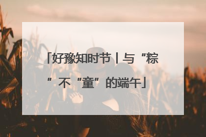 好豫知时节丨与“粽”不“童”的端午