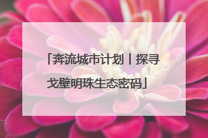 奔流城市计划丨探寻戈壁明珠生态密码